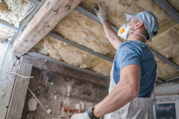 Best Specialty Insulation in Freeman, SD