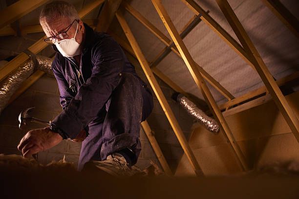 Best Insulation Materials and Products in Freeman, SD